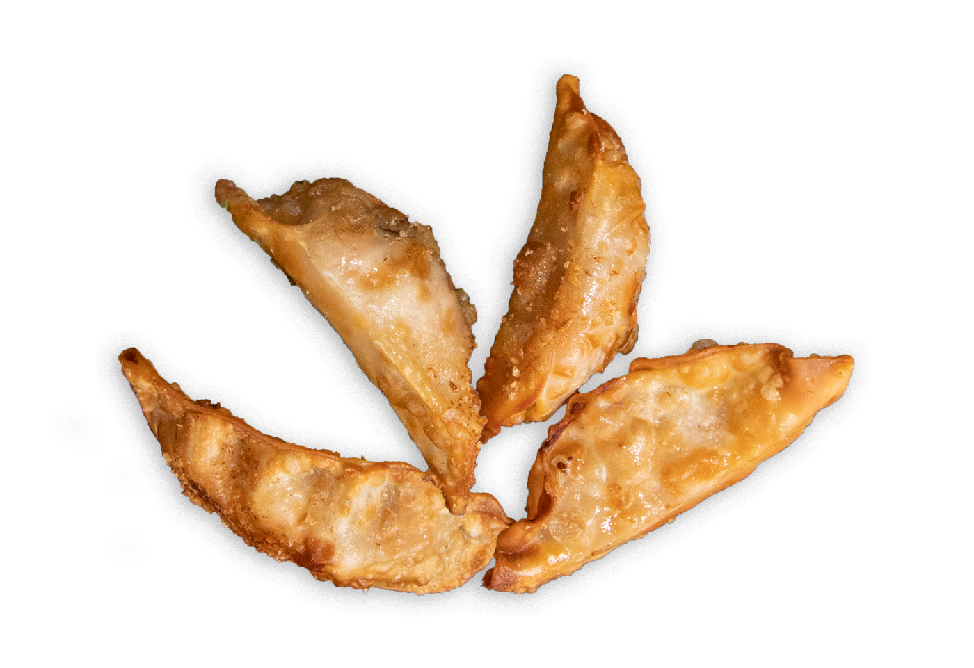 gyoza